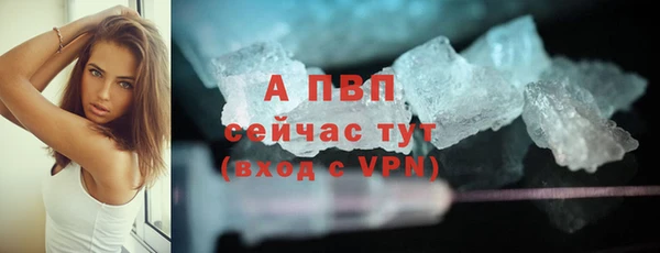дурь Бородино