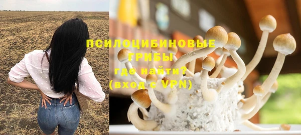 дурь Бородино