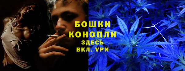 дурь Бородино
