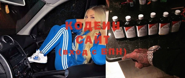 дурь Бородино
