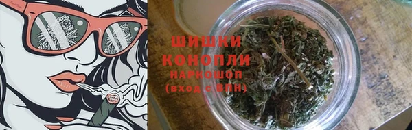 дурь Бородино