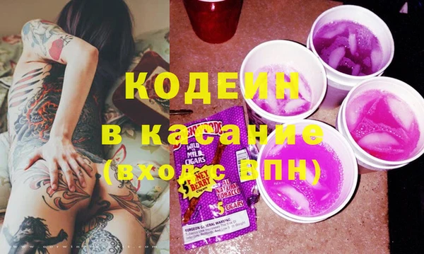 дурь Бородино