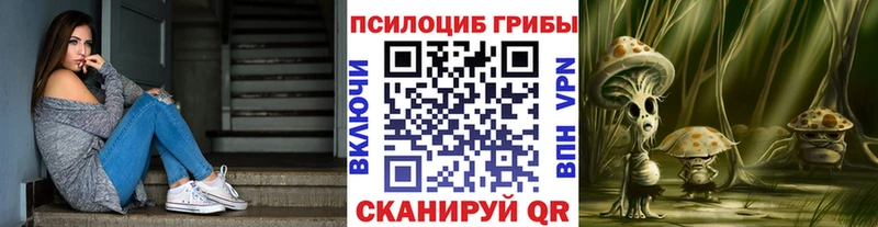 Купить где  Благовещенск  Псилоцибиновые грибы Cubensis 